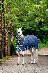 Horseware Ireland Rhino Plus 250g Vari-Layer Pony Turnout, Navy / Titanium Grey / Classic Blue, 66 inches slide 2 of 3