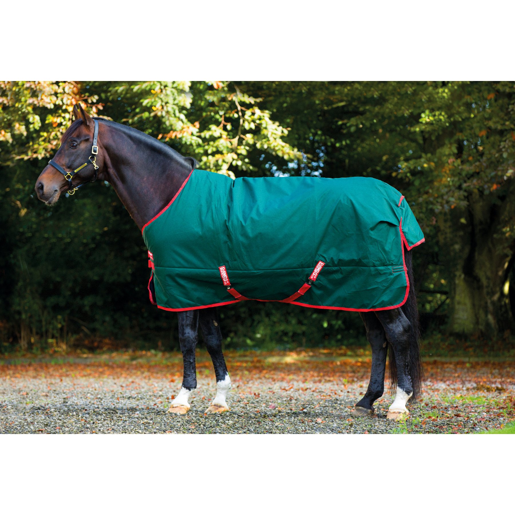 Horseware Rambo 1000D 0g Horse Turnout, Green / Red, 87 inches