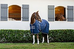 Horseware Ireland Rambo Embossed Lining 200g Horse Stable Sheet, Navy / Thunderstorm Grey / Silver, 78 inches slide 2 of 4