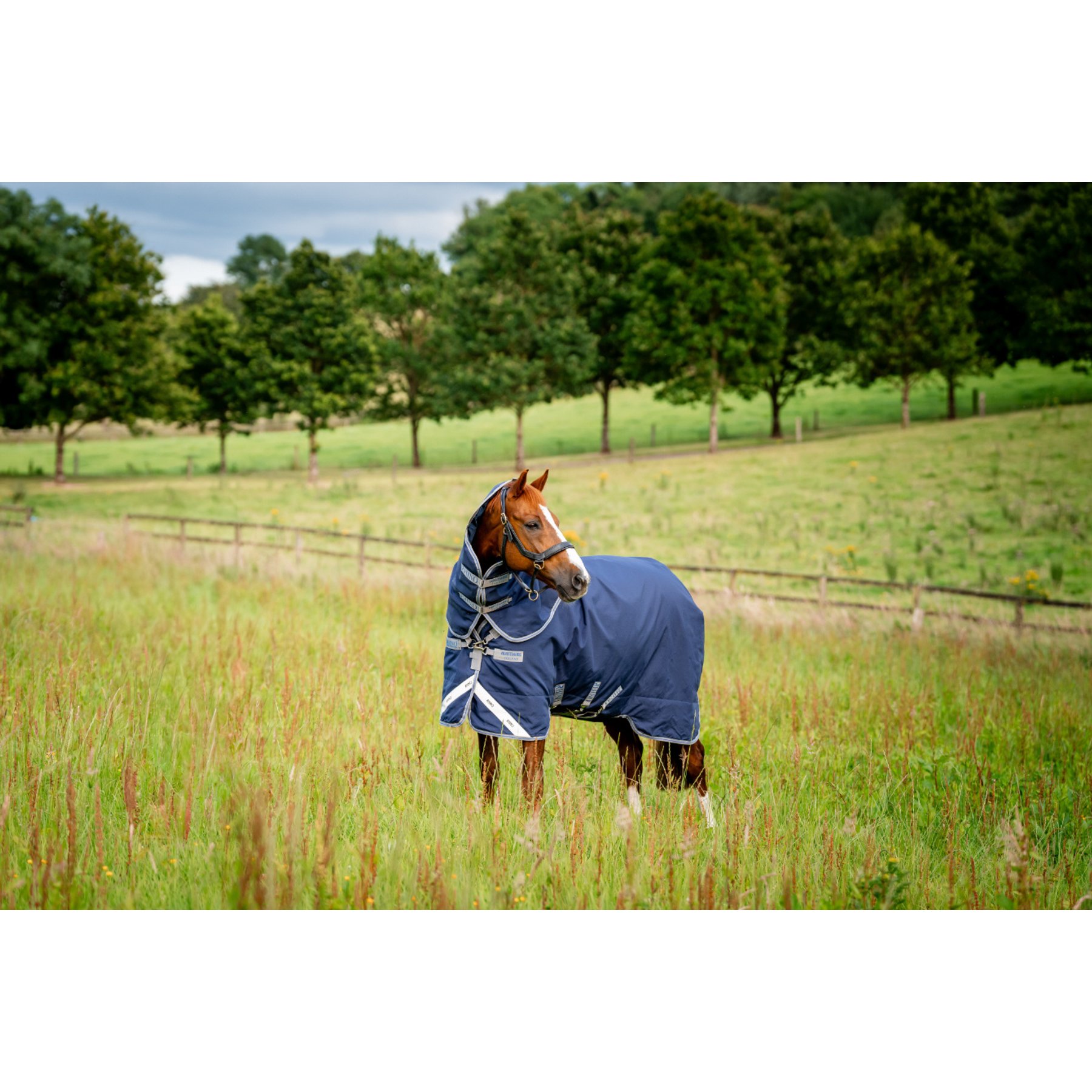 Horseware Rhino Plus 250g Vari-Layer Horse Turnout, Navy / Titanium Grey / Classic Blue, 69 inches