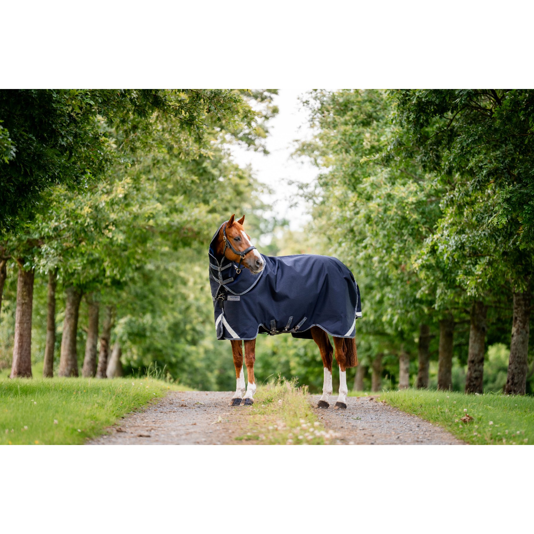 Horseware Rambo 1680D Plus 450g Vari-Layer Horse Turnout, Navy / Thunderstorm Grey / Silver, 69 inches