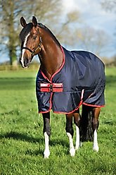 Horseware Rambo 1000D 200g Horse Turnout, Navy / Red, 87 inches slide 2 of 2