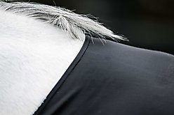 Horseware Ireland Rambo Slinky Horse Hood, Black, Small slide 2 of 7