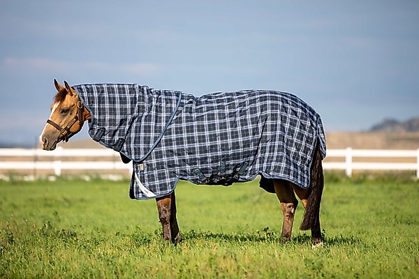 Show full view: Horseware Ireland Rhino Plus 0g Horse Turnout, Navy Check / Indigo, 72 inches slide 1 of 3