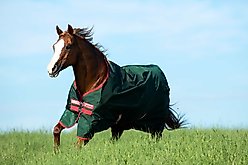 Horseware Ireland Rambo 1000D 0g Horse Turnout, Green / Red, 75 inches