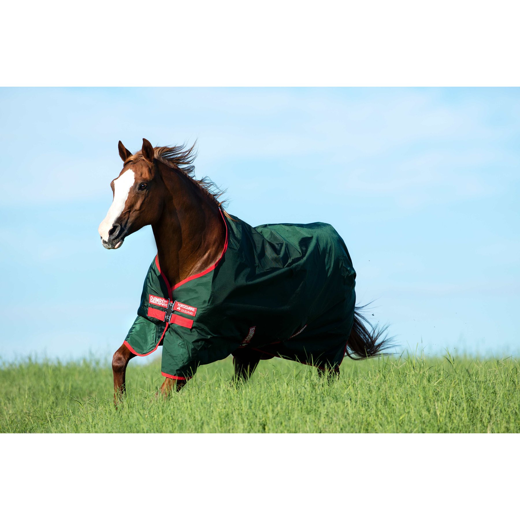 Horseware Rambo 1000D 0g Horse Turnout, Green / Red, 78 inches