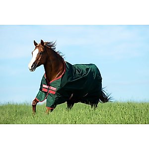 Horseware Ireland Rambo 1000D 0g Horse Turnout, Green / Red, 81 inches