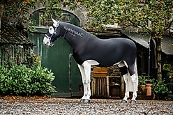 Horseware Ireland Rambo Slinky Full Body Horse Sheet, Black, X Small