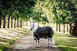 Horseware Ireland Rambo 1680D 250g Vari-Layer Horse Turnout, Black / Thunderstorm Grey / Silver, 81 inches