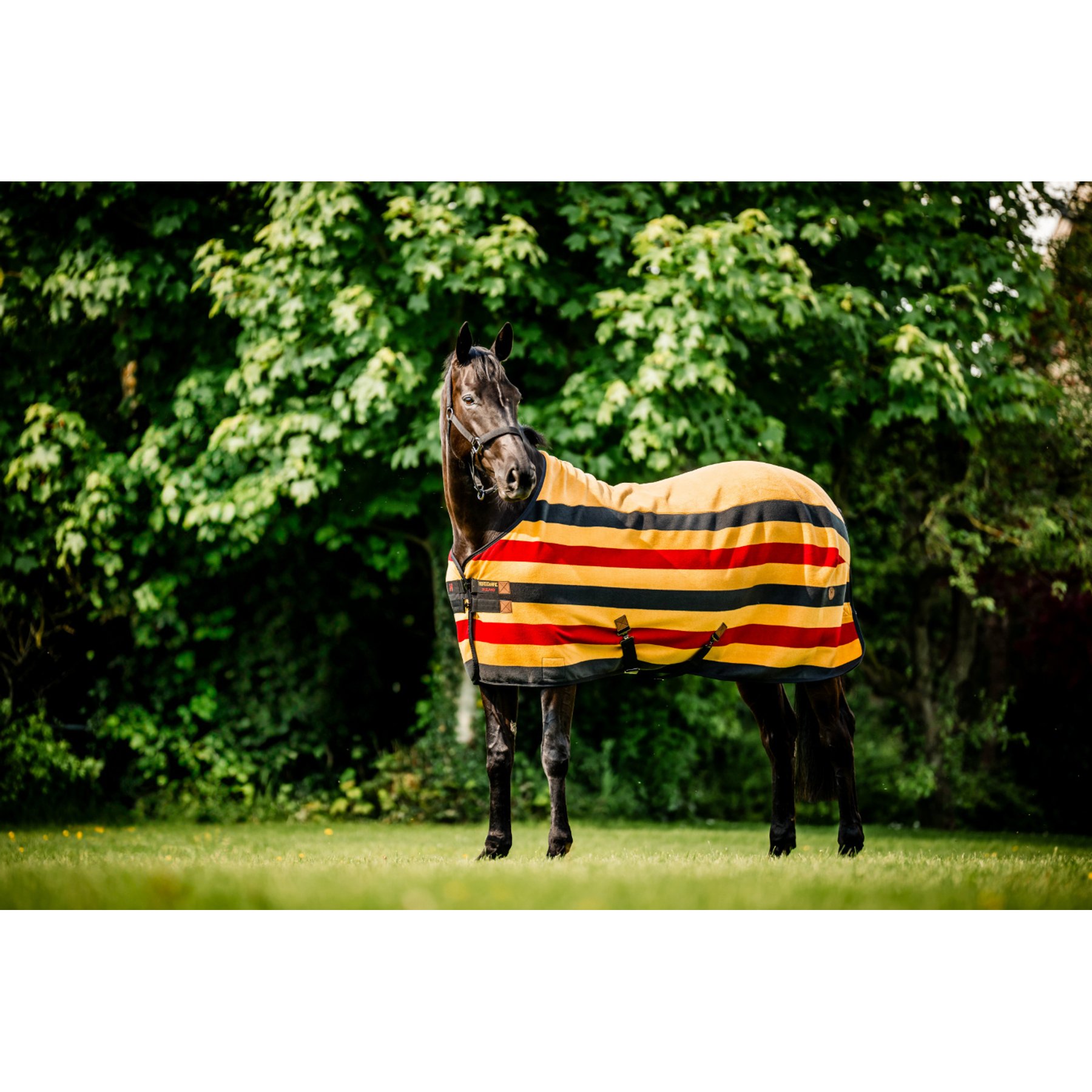 Horseware Newmarket Fleece Horse Cooler, Witney Gold, 81 inches