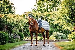 Horseware Ireland Horseware Newmarket Horse Exercise Sheet, Witney Charcoal, X Large