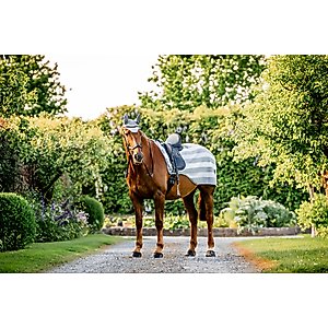 Horseware Ireland Horseware Newmarket Horse Exercise Sheet, Witney Charcoal, X Large