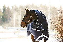 Horseware Ireland Rambo Duo Plus 100g + 300g Horse Turnout, Navy / Sky Blue / Brown, 87 inches slide 2 of 2