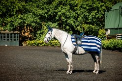 Horseware Ireland Horseware Newmarket Horse Exercise Sheet, Witney Navy, Small