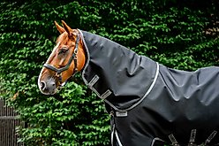 Horseware Ireland Rambo 1680D 0g Horse Turnout Hood, Black / Thunderstorm Grey / Silver, X Large