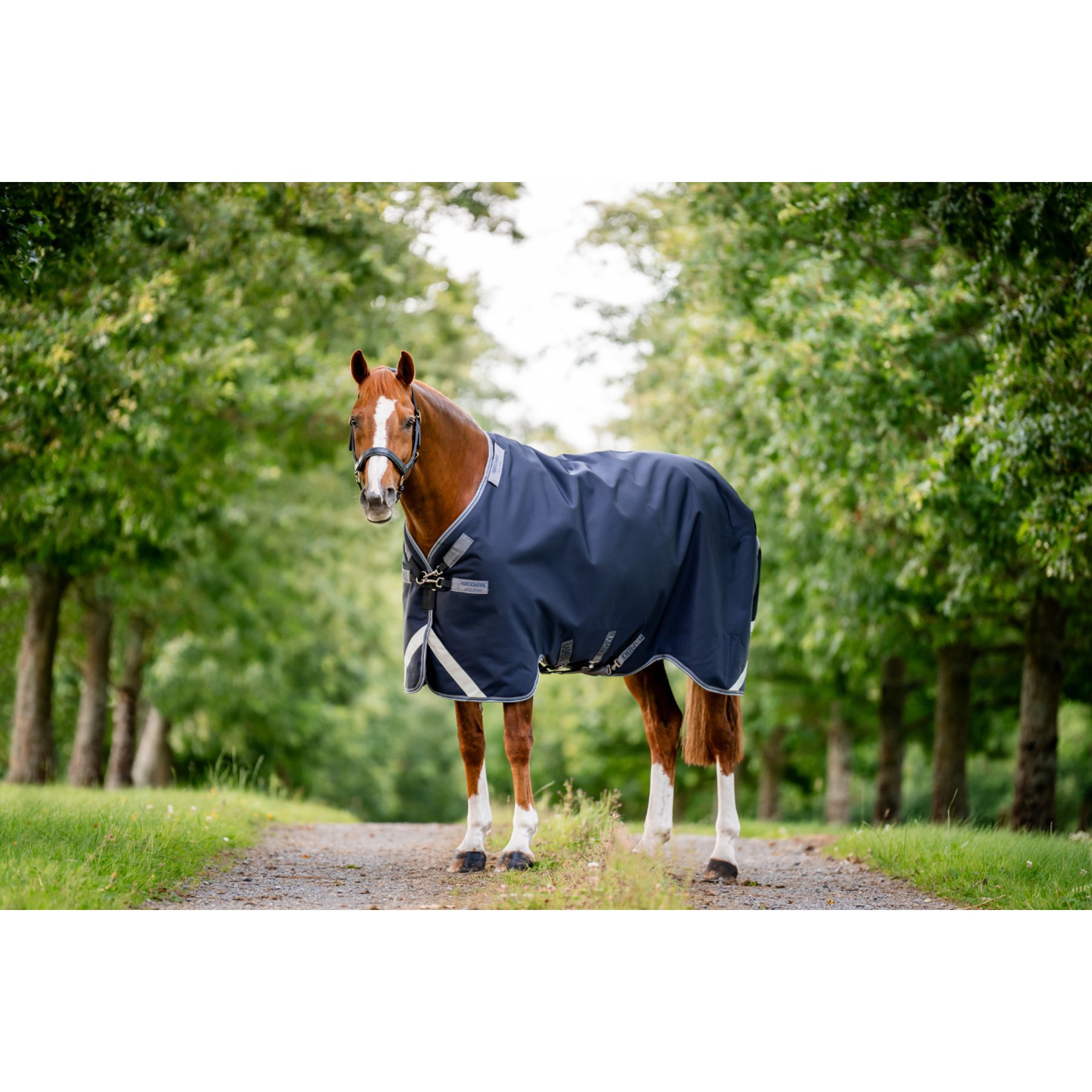Horseware Rambo 1680D 0g Horse Turnout, Navy / Thunderstorm Grey / Silver, 69 inches
