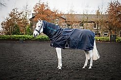 Horseware Ireland Rambo Mack in a Sack Horse Sheet, Navy / Burgundy / Teal, Small