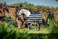 Horseware Ireland Horseware Newmarket Fleece Horse Cooler, Witney Navy, 69 inches