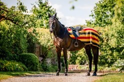 Horseware Ireland Horseware Newmarket Horse Exercise Sheet, Witney Gold, Small