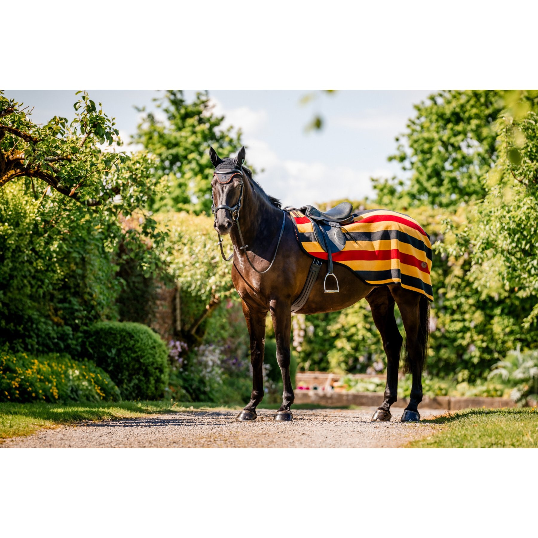 Horseware Newmarket Horse Exercise Sheet, Witney Gold, Small