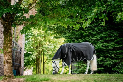 Show full view: Horseware Ireland Rambo 1680D Plus 0g Horse Turnout, Black / Thunderstorm Grey / Silver, 78 inches slide 5 of 5