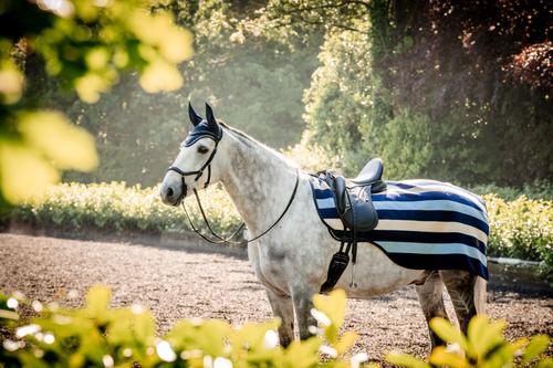 Show full view: Horseware Ireland Horseware Newmarket Horse Exercise Sheet, Witney Navy, Small slide 2 of 3