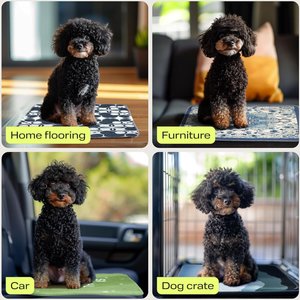 PetSpy Grass Pattern Washable Dog Pee Pads, 36 x 41-in, 2 count