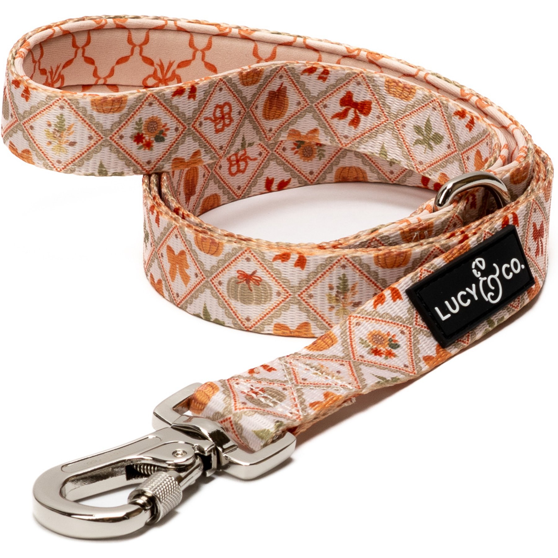 Lucy & Co. Cozy Cottage Dog Leash, Large: 5-ft long, 1-in wide