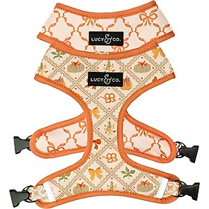 Lucy & Co. Cozy Cottage Reversible Dog Harness, Large: 20 to 28-in chest
