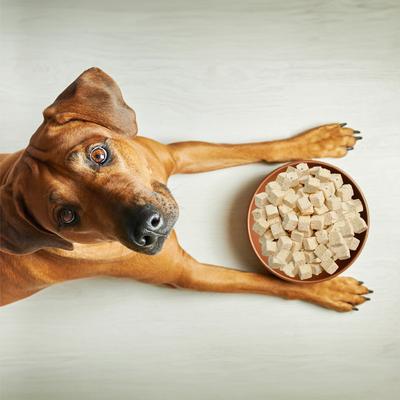 Show full view: Weruva Steak Frites Dinner Freeze-Dried Dog Food, 5.5-oz bag slide 10 of 13