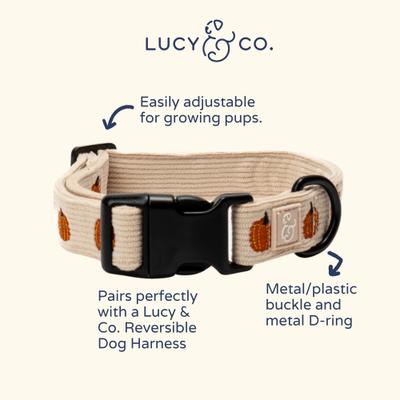 Show full view: Lucy & Co. Oh My Gourd Polyester Dog Collar, Small: 8 to 14-in neck, 1/2-in wide slide 4 of 5