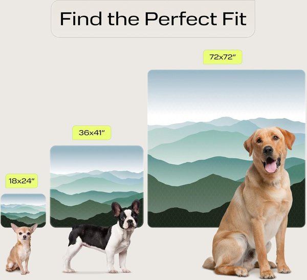 Show full view: PetSpy Landscape Pattern Washable Dog Pee Pads, 36 x 41-in, 2 count slide 3 of 7