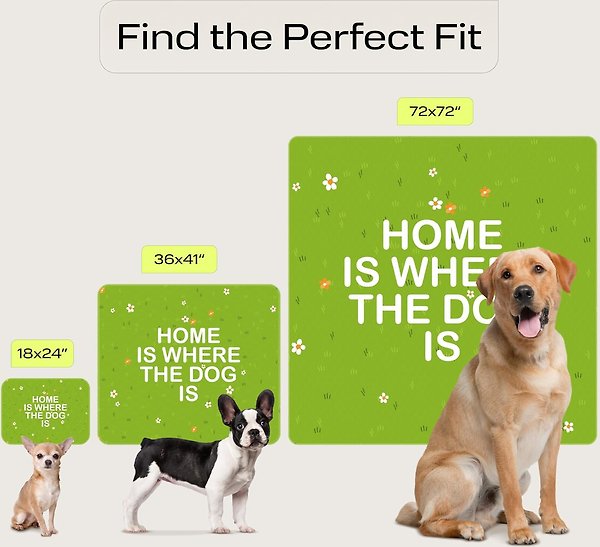 Show full view: PetSpy Grass Pattern Washable Dog Pee Pads, 36 x 41-in, 2 count slide 3 of 7