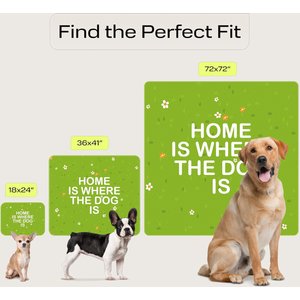 PetSpy Grass Pattern Washable Dog Pee Pads, 36 x 41-in, 2 count