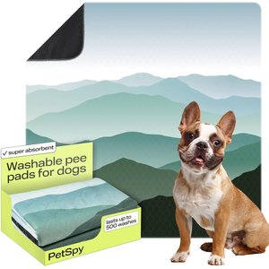 PetSpy Landscape Pattern Washable Dog Pee Pads, 72 x 72-in