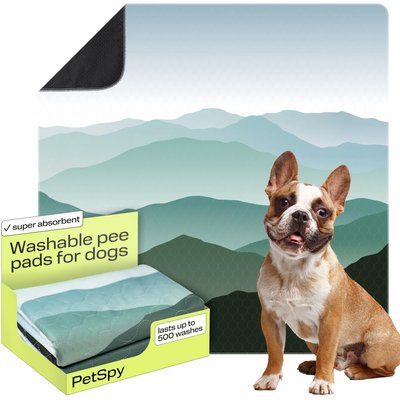 PetSpy PetSpy Landscape Pattern Washable Dog Pee Pads, 72 x 72-in, 1 count