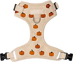 Lucy & Co. Oh My Gourd No-Pull Dog Harness, Medium: 17 to 23-in chest