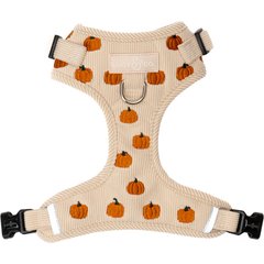 Lucy & Co. Oh My Gourd No-Pull Dog Harness, X-Small: 12 to 15-in chest