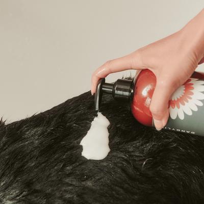 Show full view: Dandylion Nourish Gentle Hydrating Dog Conditioner, 16-fl oz bottle slide 2 of 5