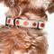 Show in main carousel: Lucy & Co. Oh My Gourd Polyester Dog Collar, Small: 8 to 14-in neck, 1/2-in wide slide 3 of 5