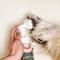 Show in main carousel: Dandylion Clean Paws Dog Foaming Cleanser, 2.7-fl oz bottle slide 3 of 6
