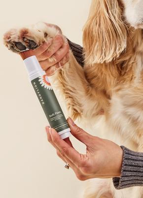 Show full view: Dandylion Soft Paws Hydrating Paw Lotion Refill, 0.6-fl oz bottle slide 2 of 4