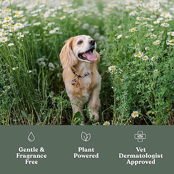 Show full view: Dandylion Fresh Coat Daily Cleansing Dog Spray, 3.4-fl oz bottle slide 3 of 5