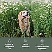 Show in main carousel: Dandylion Fresh Coat Daily Cleansing Dog Spray, 3.4-fl oz bottle slide 3 of 5