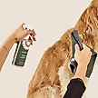 Show in main carousel: Dandylion Fresh Coat Daily Cleansing Dog Spray, 3.4-fl oz bottle slide 2 of 5
