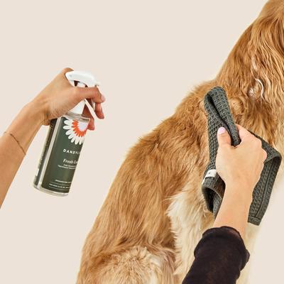 Show full view: Dandylion Fresh Coat Daily Cleansing Dog Spray, 3.4-fl oz bottle slide 2 of 5