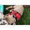Show in main carousel: The Worthy Dog Plaid Sidekick Dog Harness, Red, Small: 15 to 18-in chest slide 7 of 7