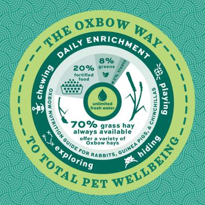 Show full view: Oxbow Premium Timothy Hay Meadow Blend Small Animal Feed Topper, 2-oz bag slide 7 of 7