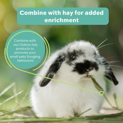 Show full view: Oxbow Premium Timothy Hay Meadow Blend Small Animal Feed Topper, 2-oz bag slide 4 of 7