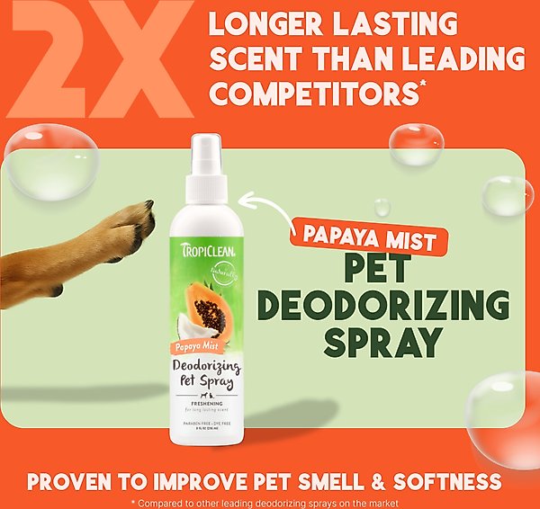 Show full view: TropiClean Deodorizing Perfume & Odor Eliminating Papaya Scent Dog & Cat Spray, 8-fl oz bottle slide 3 of 12